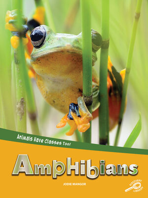 cover image of Animals Have Classes Too! Amphibians